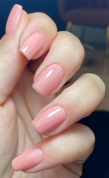 Solid Pink